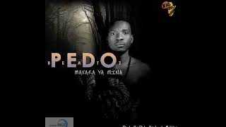 Pedó Beatz - Maxaka Ya Mina (Audio) Pedó Beatz - Maxaka Ya Mina (Audio)