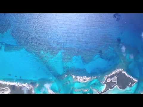 skydive bahamas