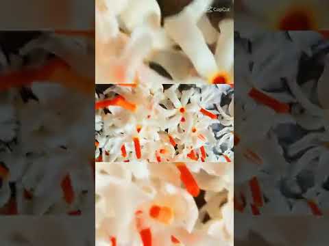 #Sheuli ful song..❤️❤️❤️ #Ishfi #bangladesh #flowers🌹#love....