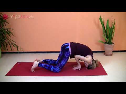 ​Pfau   Mayurasana