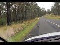 I Almost Ran Over A Magpie AUSTRALIAN BIRD Car Vlog