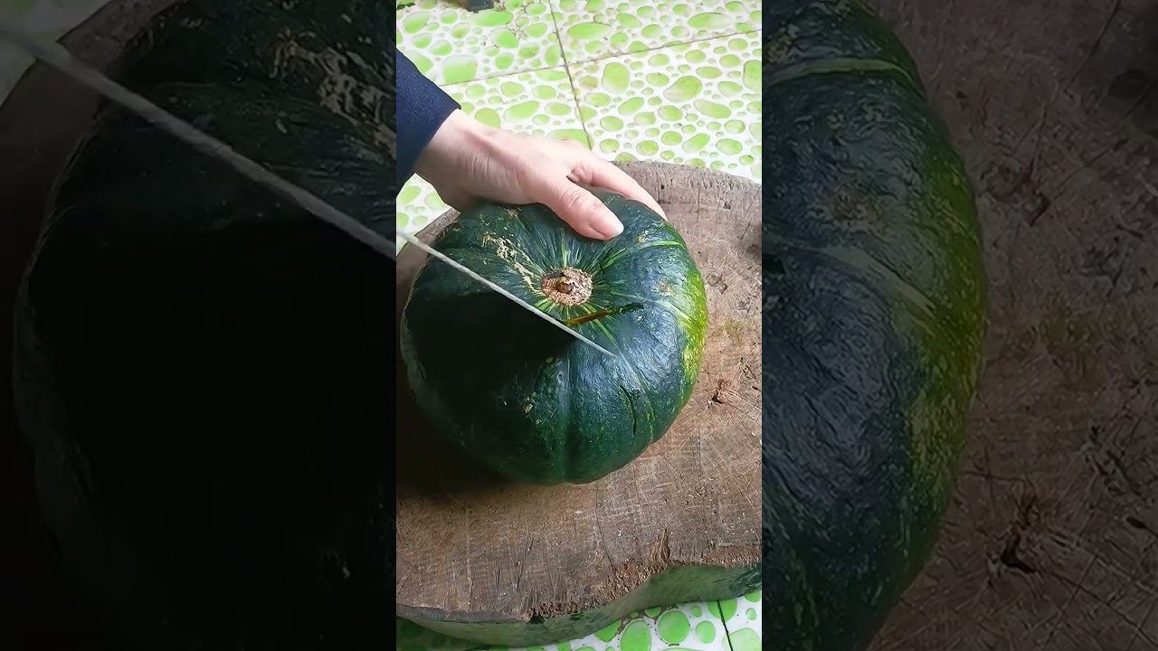 RT 229 mini rotary tillage and ridging all-in one tree 🌴