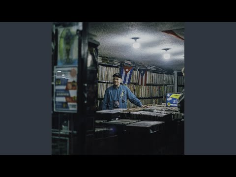 Video thumbnail for Diskohengst