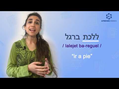 Aprender Hebreo Online - Medios Transportes en Hebreo - www.aprendehebreo.com