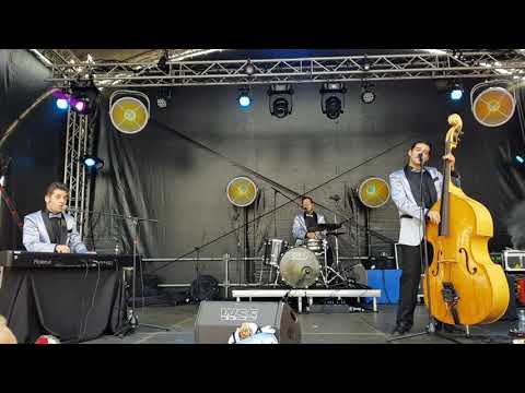 THE NEW TONES aka NewTones - 45 Men - live at Feel the 50s #7, Venlo 2019