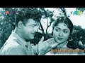 Nenjathil Iruppathu Movie Vazhkai Vazhvatharke Viswanathan P B Sreenivas P Susheela Kannadasan