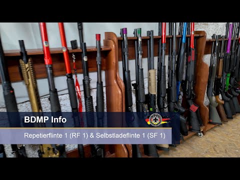 Complete BDMP discipline RF1 & SF1 explained – Repeating shotgun 1 (RF 1) & Semi-automatic shotgu...