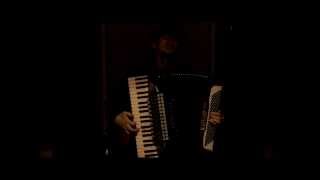 Autumn Sea - Robyn Hitchcock and the Egyptians (accordion cover)