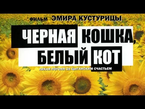 Черная кошка, белый кот (1998). Комедия