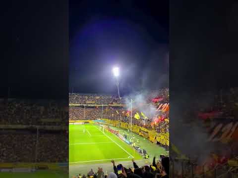 "Carbonero querido" Barra: Barra Amsterdam &bull; Club: Peñarol