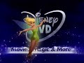 Disney DVD Logo With FBI Warning Screens Fullscreen Edition 2007 Present