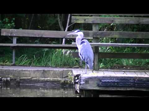 MongoTV_562 - Del 4 - God Fredag Og Weekend - 8 Km Gåtur - 28.Aug 2015