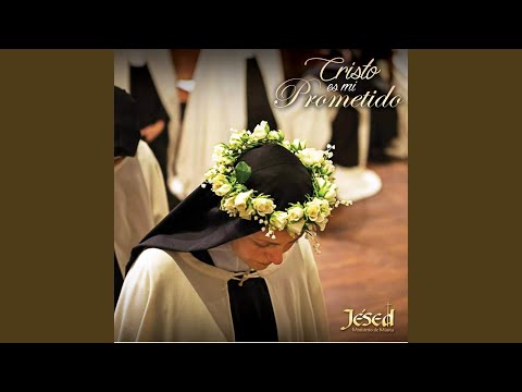 Solo a Ti Pertenezco