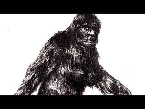 Cryptid Profile: Type one Bigfoot. "Patty"