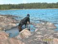 Cutter Wmv