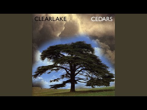 Trees in the City - Clearlake