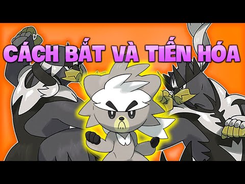 How to Catch and Evolve Kubfu in Pixelmon 9.1.5