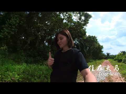 Agricultural Land for Sale in Port Dickson (Linggi) - Janie Wai - PropertyGuru.com.my