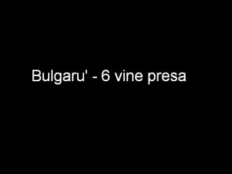 Bulgaru - 6 vine presa
