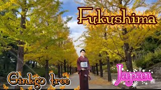 Download lagu Ginkgo tree Azuma General Sports Park 1 Sawara Shrine, Fukushima City, Fukushima Prefecture, 960-... mp3 Download lagu Ginkgo tree Azuma General Sports Park 1 Sawara Shrine, Fukushima City, Fukushima Prefecture, 960-... mp3