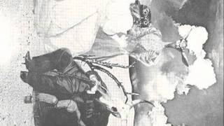 bicentennial man - black lips