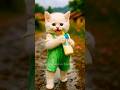Dudi Dudi Dum Dum Shorts Shortsfeed Dudidudidam Catshorts