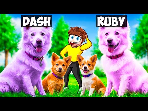 Having a Realistic DOG FAMILY in Dog Simulator