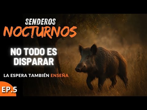 La Esencia de la Espera | Documental de caza del jabalí