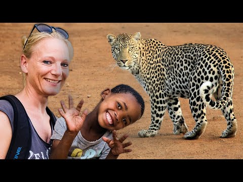 Volunteer at the Harnas Wildlife Sanctuary | The Great Projects