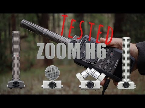 H6 Microphone Capsule Shootout and In-Depth Review