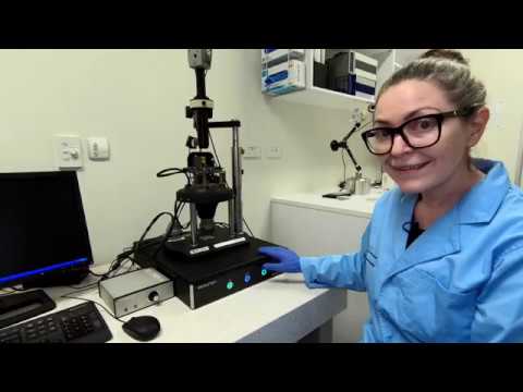 Atomic Force Microscopy (AFM)