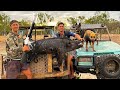 CRAZY WILD BOAR CHASE WITH HOMEMADE BUGGYS Part 2