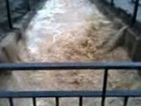 arroyo de campillo de llerena