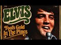 Elvis Presley AI - Fool's Gold In The Pines (Original AI 70s Song)