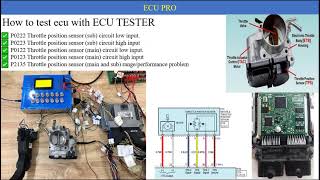 [Hyundai Accent] How to test Throttle position sensor- Electronic Throttle Valve
