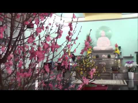 Dâng hoa - Bảo Phúc