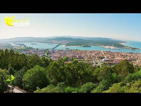 Cristiana Sá & Companhia - Reggaeton da Concertina (Official Video)