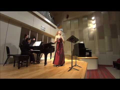 Promotional video thumbnail 1 for Jenny Lehtonen - Flute