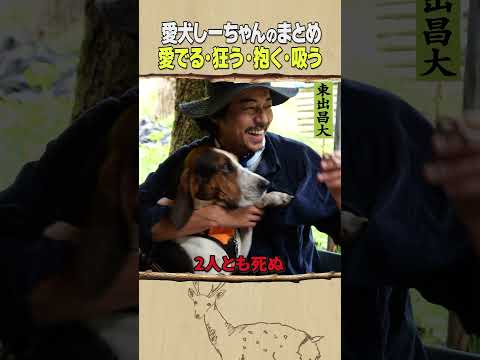 東出昌大 / 愛犬しーちゃんのまとめ