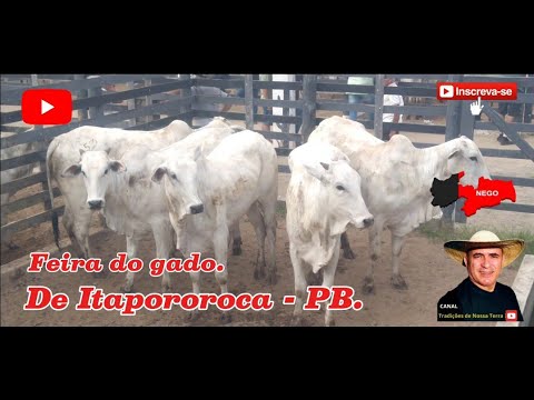 FEIRA DO GADO DE ITAPOROROCA - PB A MAIOR DA REGIÃO. ✅20/10/2025✅