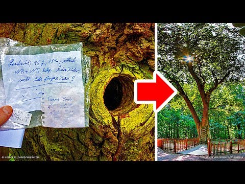 , title : '고유한 주소가 있는 독일의 나무에게 사람들이 도움을 청하는 편지를 보내요'