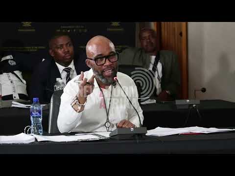 'Cat' Matlala confirms meeting with Nhlanhla Mkhwanazi