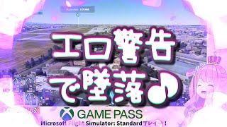 ＜字幕推奨＞🍬姫森ルーナ [PC] 🎮マイクロソフトフライトシミュレータ【警告を無視して ＥＲＯを発した瞬間！飛行機が奇跡の墜落！ゲームは 中断されました！！！】