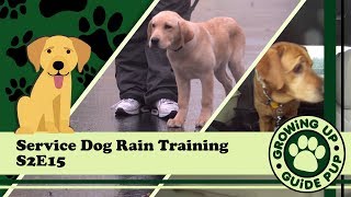 GUGP Season 2 - Week 15 - Rainy Adventure