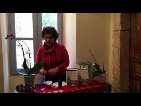 download lagu mp3 mp4 Winter Spritzer, download lagu Winter Spritzer gratis, unduh video klip Winter Spritzer