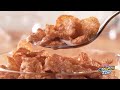 Kellogg S New Cinnamon Frosted Flakes