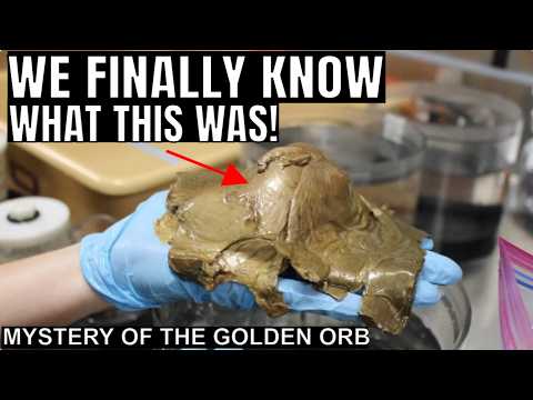 Marine Biologists Finally Figured Out The Mysterious Golden Orb