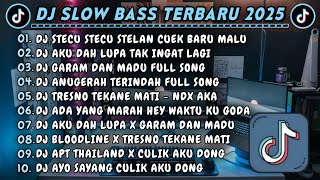 Download lagu DJ SLOWBASS TERBARU 2025 || DJ STECU STECU STELAN CUEK BARU MALU || DJ AKU DAH LUPA TAK INGAT LAGI mp3 Download lagu DJ SLOWBASS TERBARU 2025 || DJ STECU STECU STELAN CUEK BARU MALU || DJ AKU DAH LUPA TAK INGAT LAGI mp3