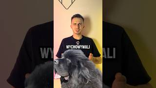 kupili PSA, ale okazało się że to…