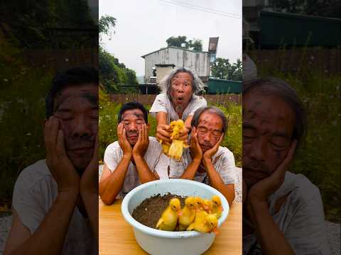 Baby gets vaccinated 💉👶duckling and goat 🐐🐐 p5